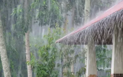 বৃষ্টিতে ভিজলে শরীরে মিলবে ১০ উপকারিতা