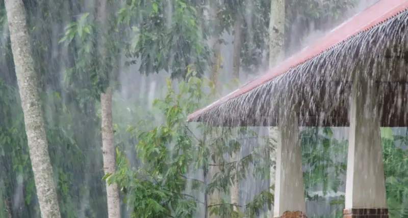বৃষ্টিতে ভিজলে শরীরে মিলবে ১০ উপকারিতা