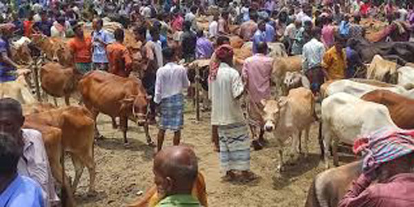 কোরবানির ঈদে ৪ লাখ কোটি টাকার বাণিজ্যের আভাস দোকান মালিক সমিতির