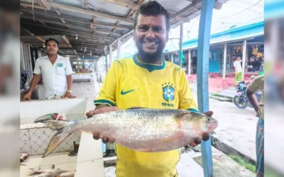 মেঘনার  ‘রাজা ইলিশ’ ৯ হাজার ৩০০ টাকায় বিক্রি হলো