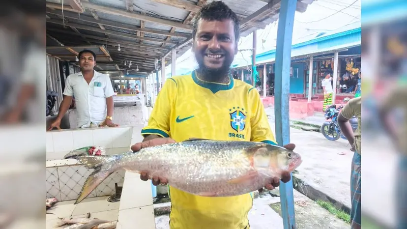 মেঘনার ‘রাজা ইলিশ’ ৯ হাজার ৩০০ টাকায় বিক্রি হলো