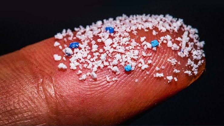 খাবারের সঙ্গে শরীরে ঢুকছে প্লাস্টিক, ঝুঁকি কমানোর ৭ উপায়