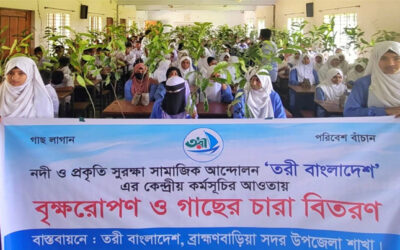 ব্রাহ্মণবাড়িয়ায় বৃক্ষরোপণ কর্মসূচি, শিক্ষার্থীদের মাঝে চারা বিতরণ