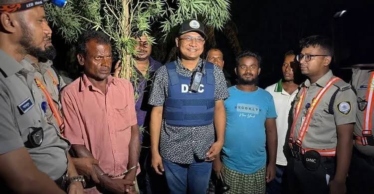 পারিবারিক কবরস্থানের আড়ালে গাঁজা চাষ, দিনমজুর গ্রেফতার