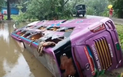নিয়ন্ত্রণ হারিয়ে পুকুরে পর্যটকবাহী ডাবল ডেকার বাস, আহত ১৫